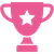 Succeed Icon